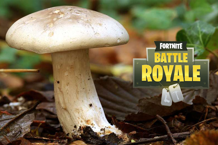 Fortnite : Champignon, nouvel objet de bouclier