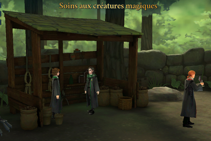 Questions et réponses du cours de soins aux créatures magiques, Harry Potter Hogwarts Mystery