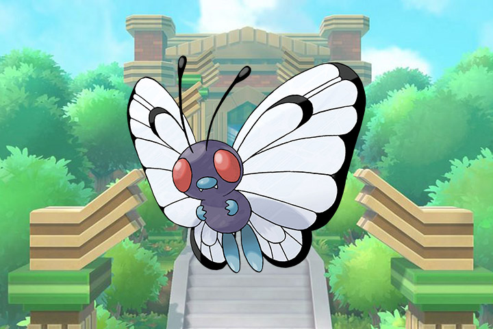 Papilusion – Pokémon Let’s Go, Pikachu et Évoli – 012