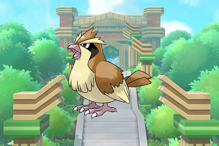 Roucool – Pokémon Let’s Go, Pikachu et Évoli – 016