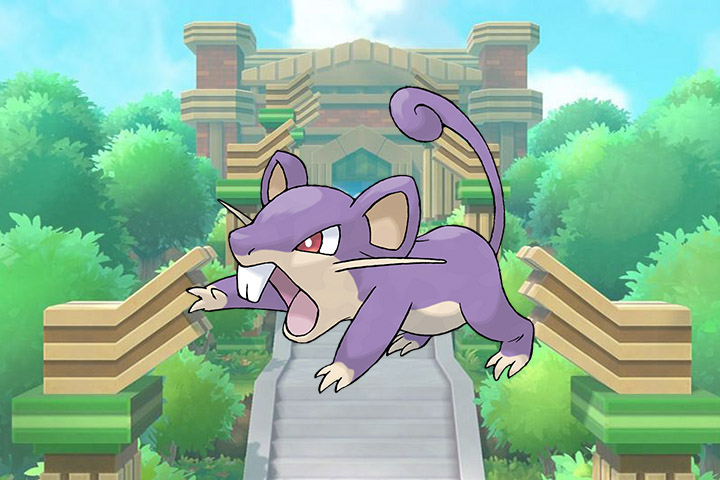 Rattata – Pokémon Let’s Go, Pikachu et Évoli – 019