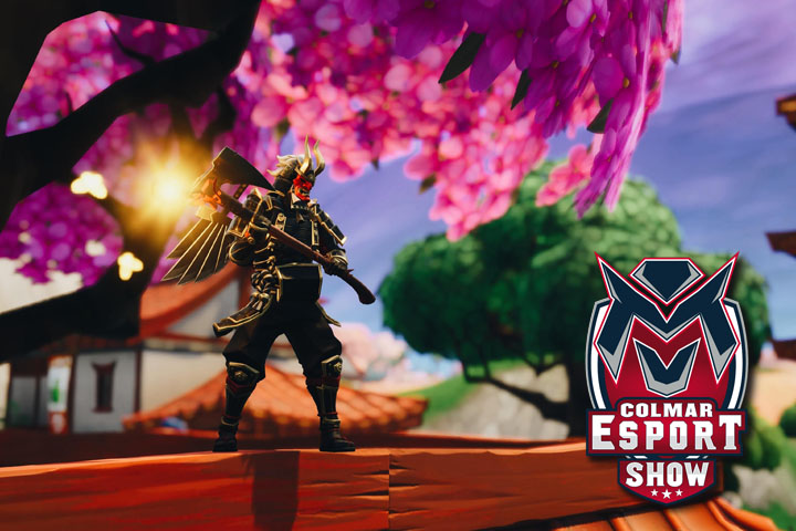 Fortnite : Liste des équipes du tournoi Fortnite du Colmar Show