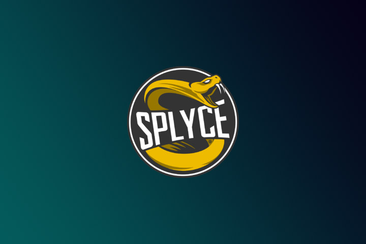 Fiche Joueur Norskeren – LEC 2019