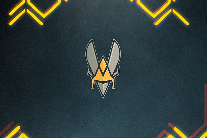 Hearthstone : Maverick et Swidz rejoignent Vitality