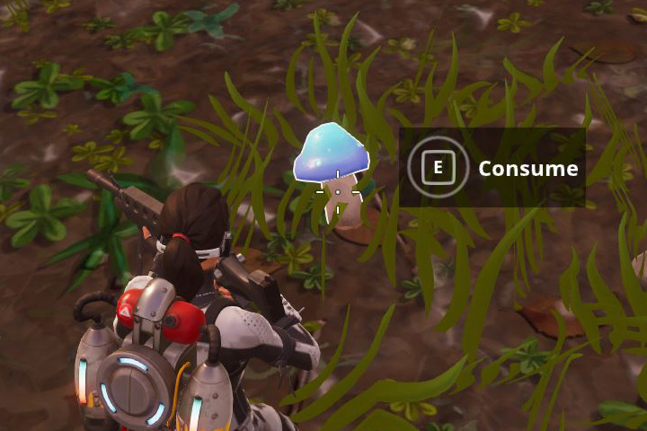 Fortnite : Gagner des boucliers avec des champignons, défi semaine 5 saison 8