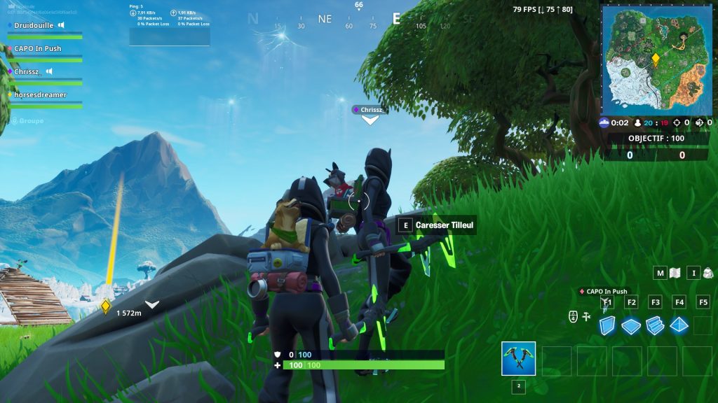 Fortnite : Caresser le compagnon d’un équipier, défi Esprit d’équipe