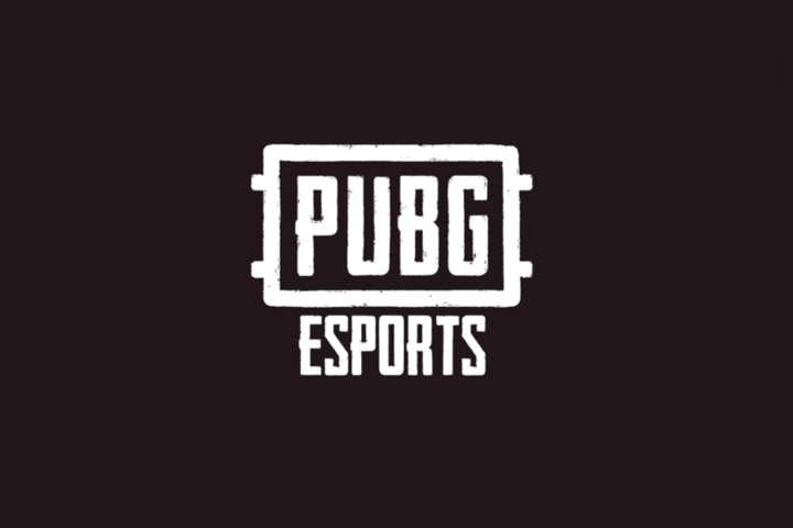 PUBG : Esport et compétitions 2020, annonces et dates, toutes les infos