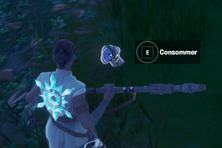 Fortnite : Manger une pomme, un champignon et un champignon au bleuvage, défis Camaïeu vs Allure