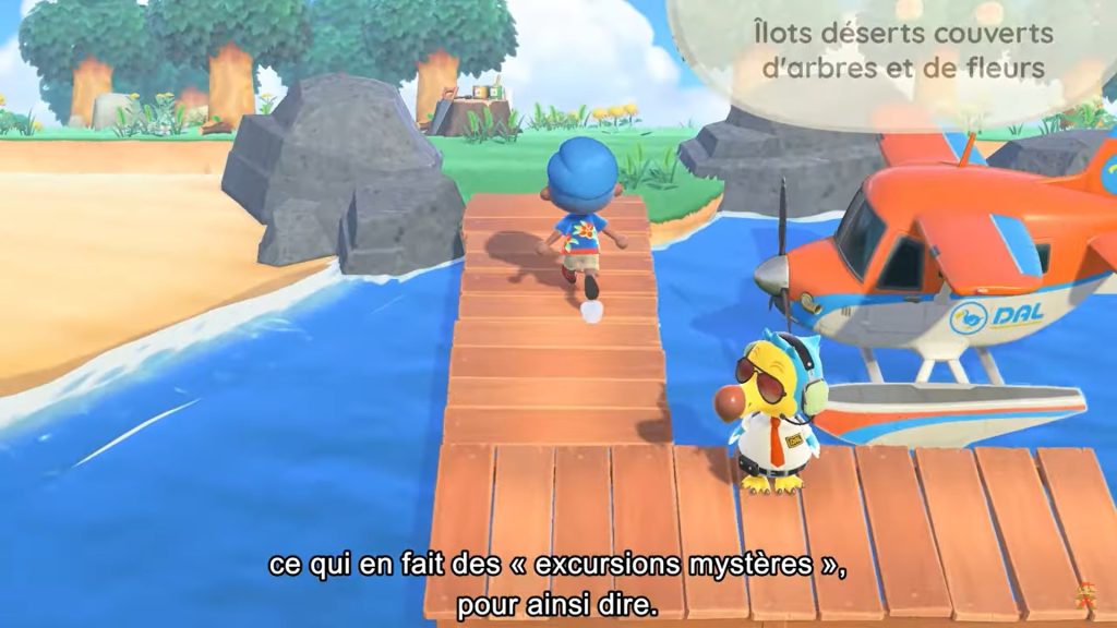 Animal Crossing New Horizons : Les excursions dans les îles mystères
