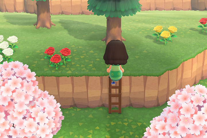 Animal Crossing New Horizons : Comment monter sur les falaises avec l’échelle ?