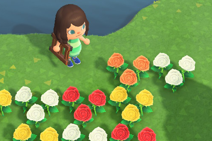 Animal Crossing New Horizons : Fleurs hybrides, tous les croisements
