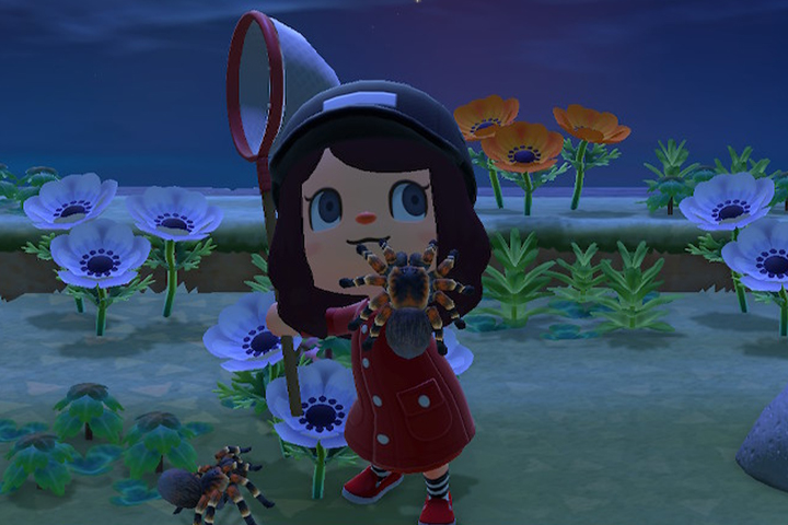 Animal Crossing New Horizons : Îles tarentules, comment s’y rendre ?