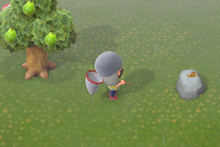 Tous les insectes d’Animal Crossing : New Horizons, liste complète et infos