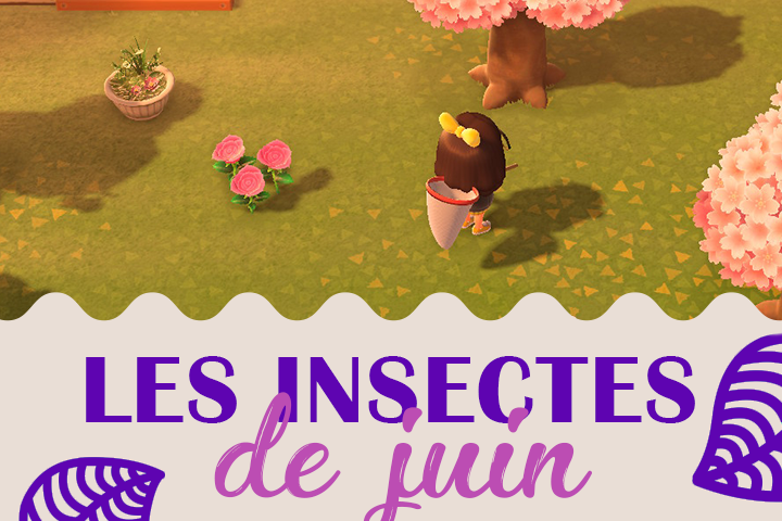 Insectes du mois de juin dans Animal Crossing New Horizons, hémisphère nord et sud
