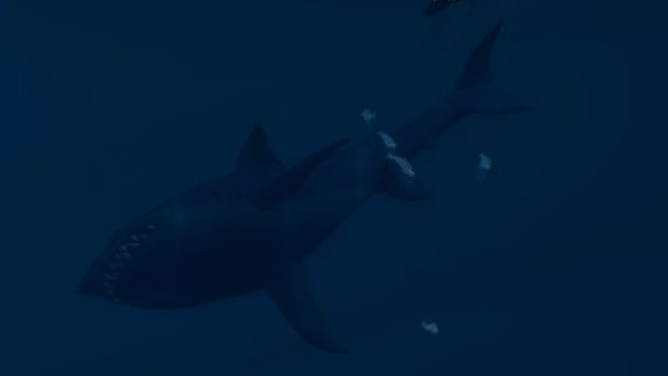 Fortnite : Requins dans l’eau de la tempête, saison 3