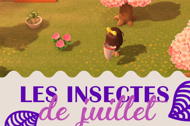 Insectes du mois de juillet dans Animal Crossing New Horizons, hémisphère nord et sud