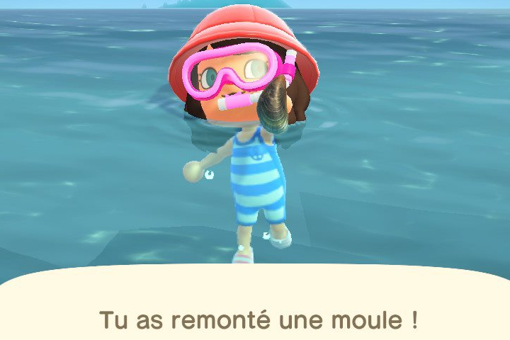 Toutes les créatures marines d’Animal Crossing : New Horizons, liste complète et infos