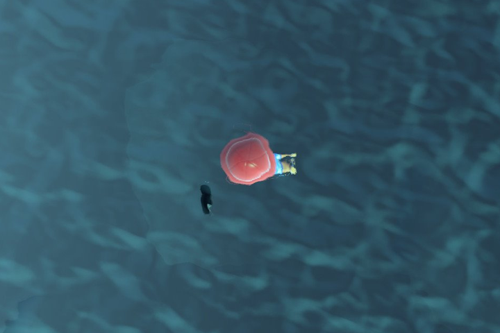 Comment plonger dans Animal Crossing : New Horizons ? Maj 1.3.0