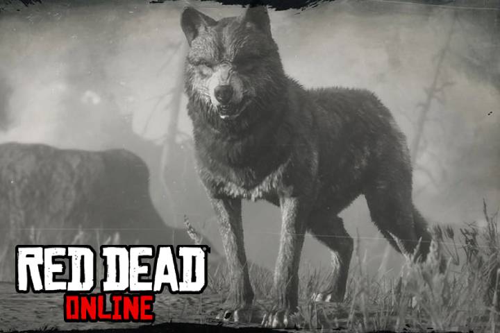 Red Dead Redemption 2 Online : Cotorra Springs, où trouver le loup légendaire ?