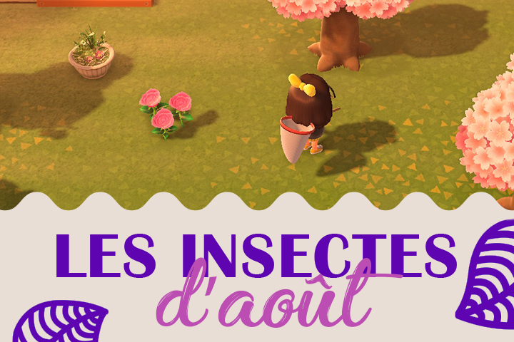 Insectes du mois d’août dans Animal Crossing New Horizons, hémisphère nord et sud
