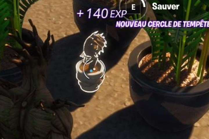 Où est Groot arbrisseau dans Fortnite ?