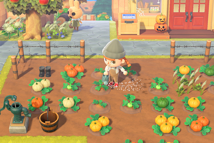 Citrouilles, où et comment les avoir dans Animal Crossing : New Horizons ?
