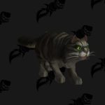 Mascotte secrète Félicia Jenafur, comment l&rsquo;obtenir sur WoW ? Solution et infos