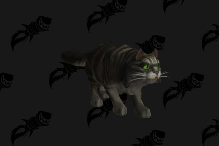 Mascotte secrète Félicia Jenafur, comment l’obtenir sur WoW ? Solution et infos