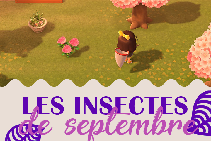 Insectes du mois d’octobre dans Animal Crossing New Horizons, hémisphère nord et sud