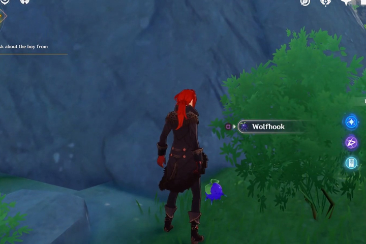 Genshin Impact Baie à crochet, où peut-on en trouver ?