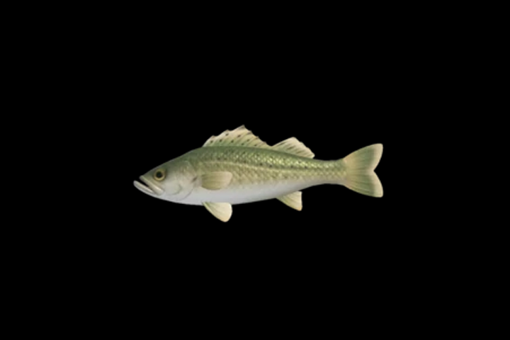 Cardeau dans Animal Crossing : New Horizons, où en trouver ?