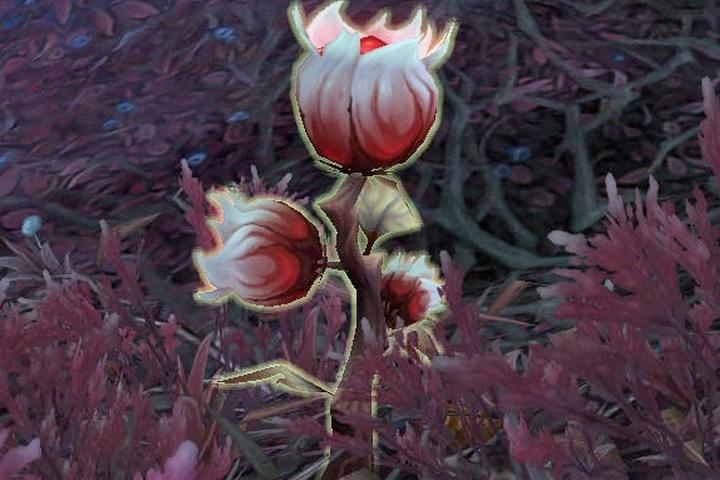 Farm Endeuillée, où sont les routes opti pour l’herbo dans WoW Shadowlands ?