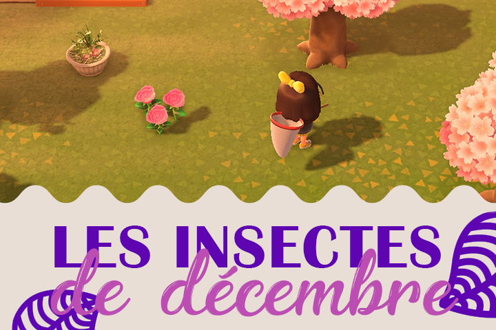 Insectes du mois de décembre dans Animal Crossing New Horizons, hémisphère nord et sud