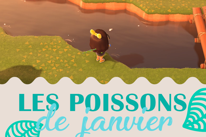 Poissons du mois de janvier dans Animal Crossing New Horizons, hémisphère nord et sud