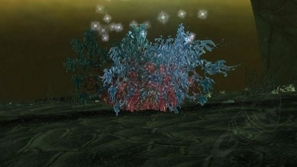 Où farm du Pollen de pruinéante à WoW TBC Classic ?