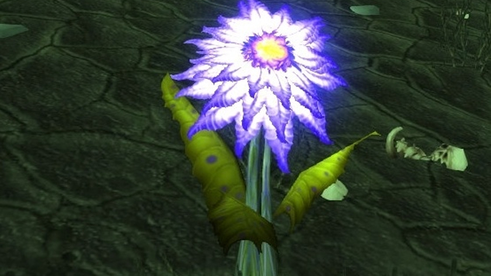 Où farm du Chardon de mana à WoW TBC Classic ?