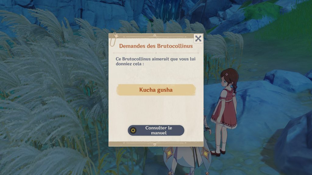 Kucha gusha Genshin Impact, que faut-il offrir ?