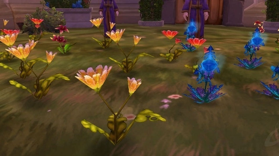 Guide Herboristerie WoW TBC Classic, comment passer 375 ?