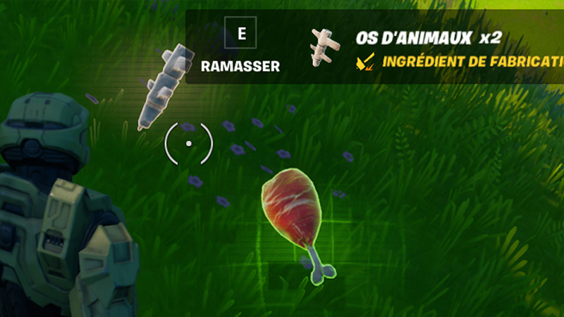 Ramasser des os d’animaux en saison 7 de Fortnite, est-ce possible ?