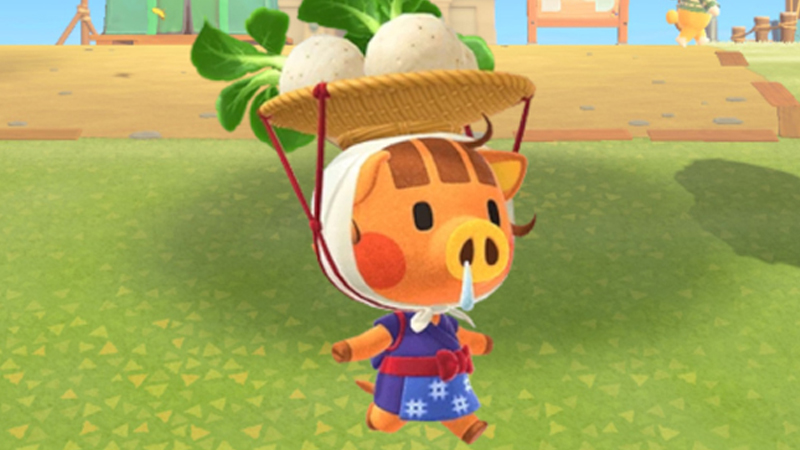 Porcelette Animal Crossing heure, quand est-elle sur l’île pour les navets ?