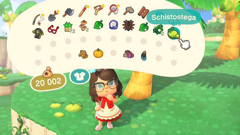 Schistostega Animal Crossing, où en trouver sur New Horizons ?