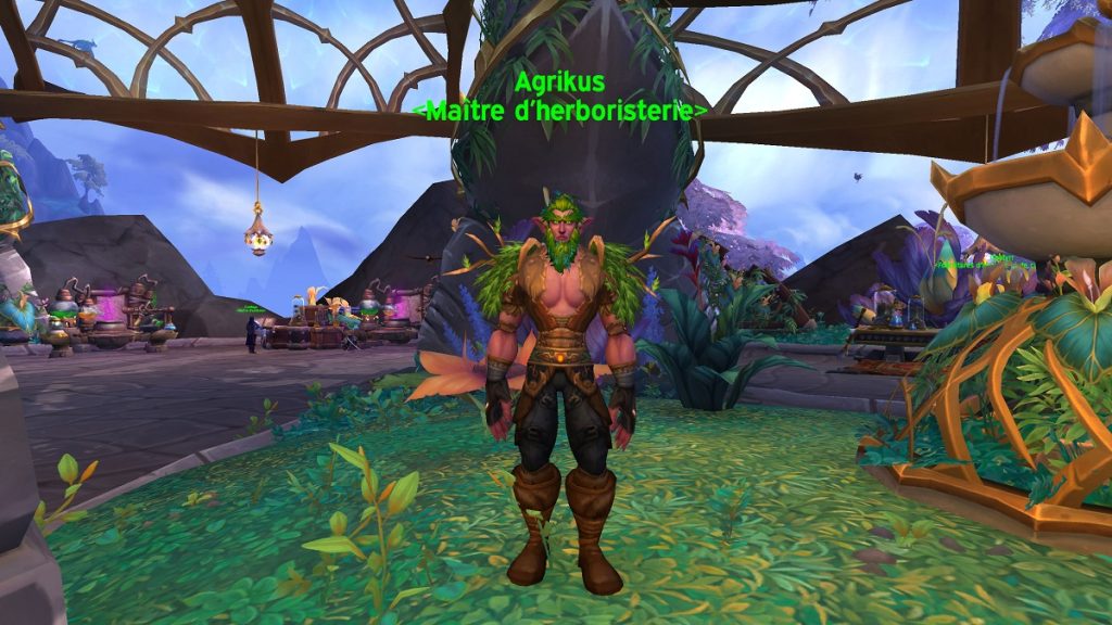 Saxifrage à WoW Dragonflight, où en trouver ?