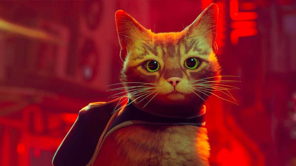 Stray Film d’animation date de sortie : Quand sort le film au cinéma ?