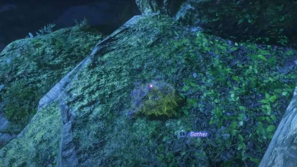 Mousse meurtrie Avatar Frontiers of Pandora : où trouver la ressource de la quête Moment d’apprentissage ?