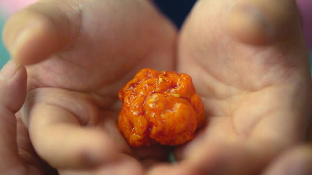 Chicken Nugget : c’est quoi ce poulet sur Netflix ?