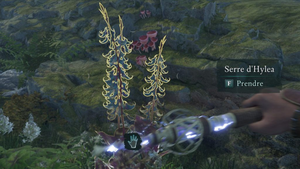 Matériaux d’amélioration Avowed : où les trouver pour enchanter ou raffiner vos armes et armures ?