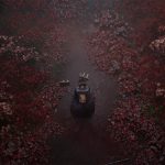 Silent Hill f : le meilleur opus de la licence ? Notre test complet