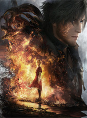 Illustration catégorie