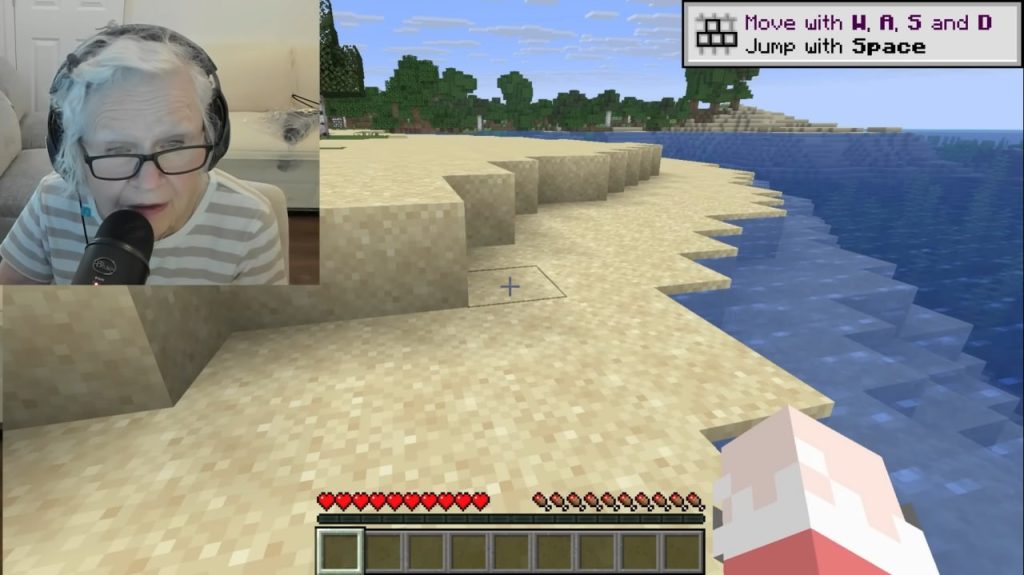 À 81 ans, cette grand-mère joue à Minecraft pour sauver son petit-fils atteint d’un cancer