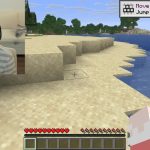 À 81 ans, cette grand-mère joue à Minecraft pour sauver son petit-fils atteint d’un cancer